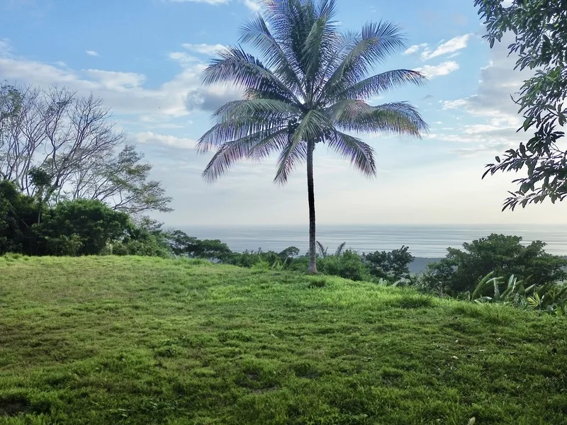 Land For Sale in Dominical, photo 7