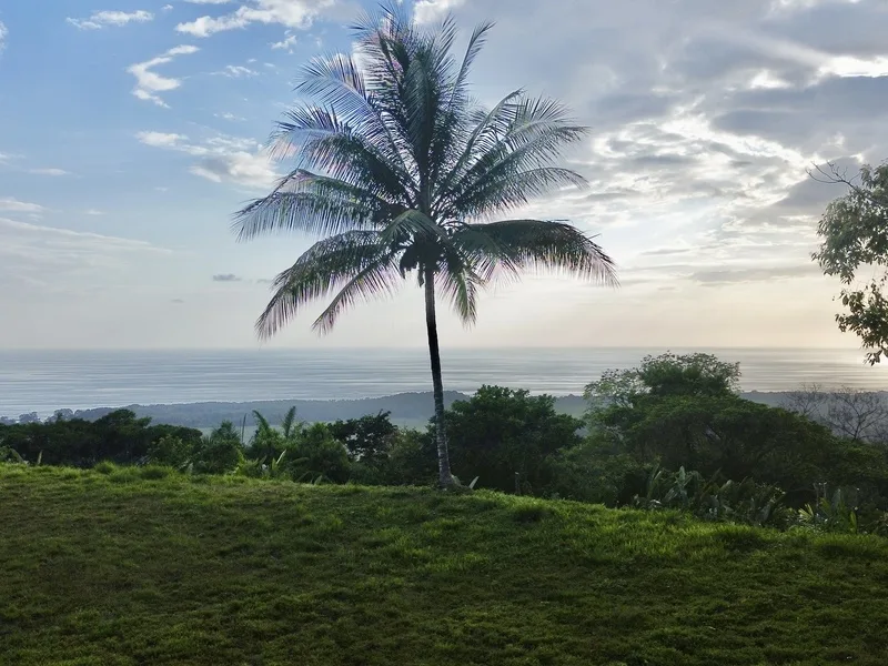 Land For Sale in Dominical, photo 8
