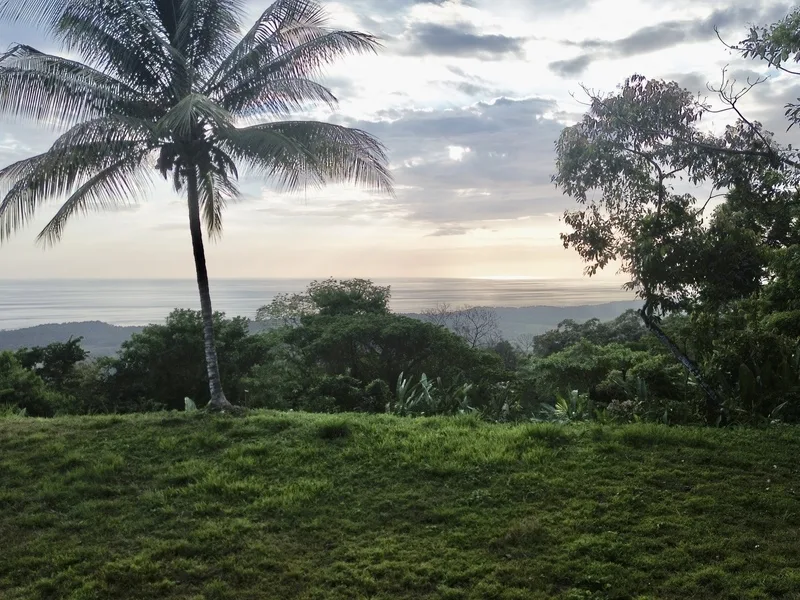 Land For Sale in Dominical, photo 9