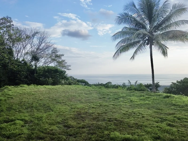 Land For Sale in Dominical, photo 10