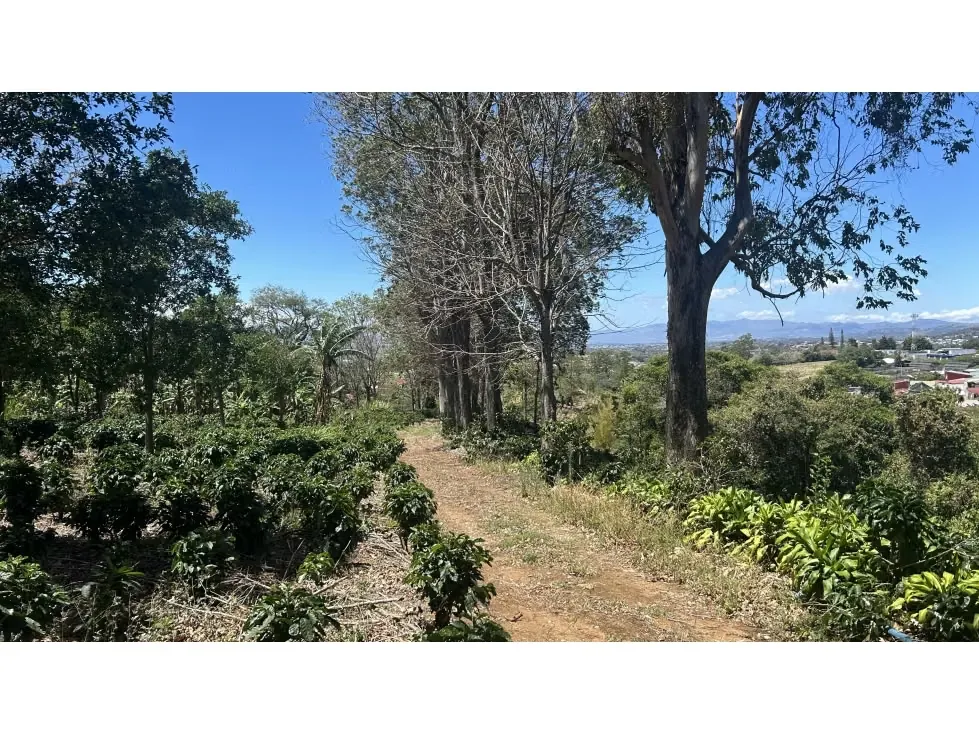 Venta de Espectacular Finca para Desarrollo Inmobiliario, San Pablo de Barva, Heredia