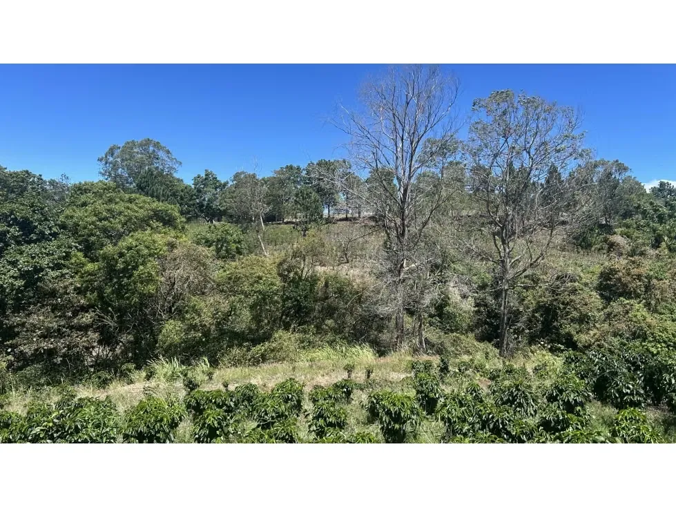 Venta de Espectacular Finca para Desarrollo Inmobiliario, San Pablo de Barva, Heredia, photo 11