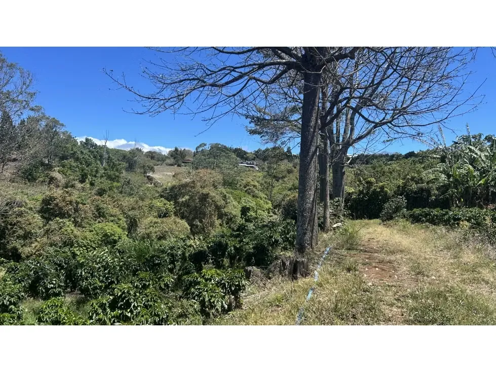Venta de Espectacular Finca para Desarrollo Inmobiliario, San Pablo de Barva, Heredia, photo 12
