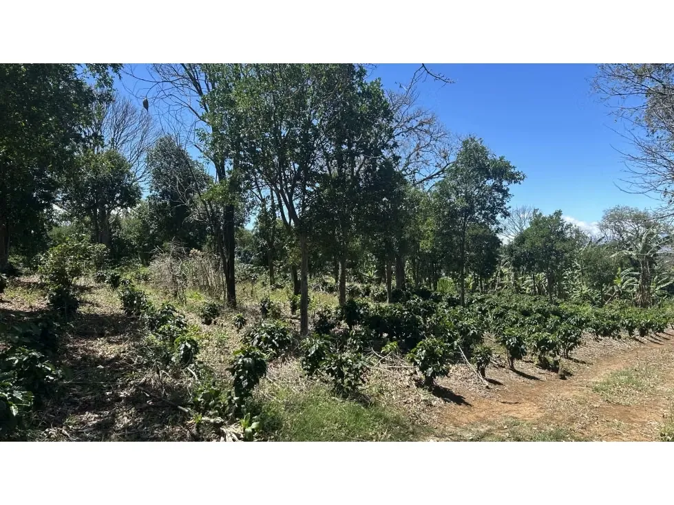 Venta de Espectacular Finca para Desarrollo Inmobiliario, San Pablo de Barva, Heredia, photo 8