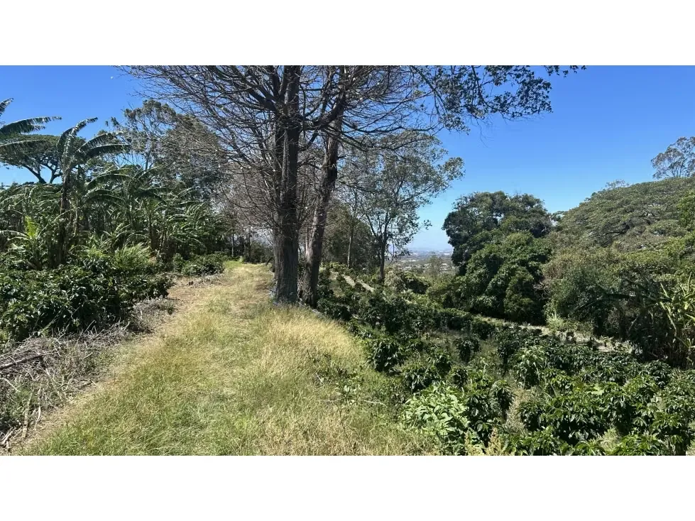 Venta de Espectacular Finca para Desarrollo Inmobiliario, San Pablo de Barva, Heredia, photo 10