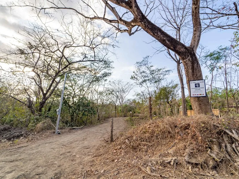 Land For Sale in Samara, photo 2