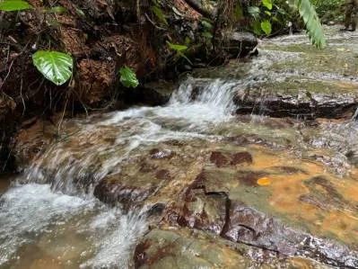Impresionante terreno grande con 2 cascadas cerca de la playa Dominical