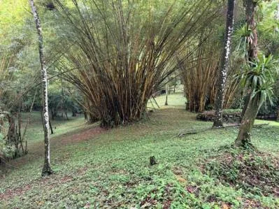 Impresionante terreno grande con 2 cascadas cerca de la playa Dominical, photo 3