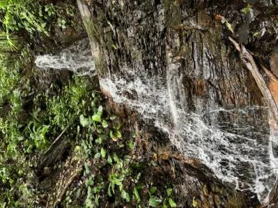 Impresionante terreno grande con 2 cascadas cerca de la playa Dominical, photo 10