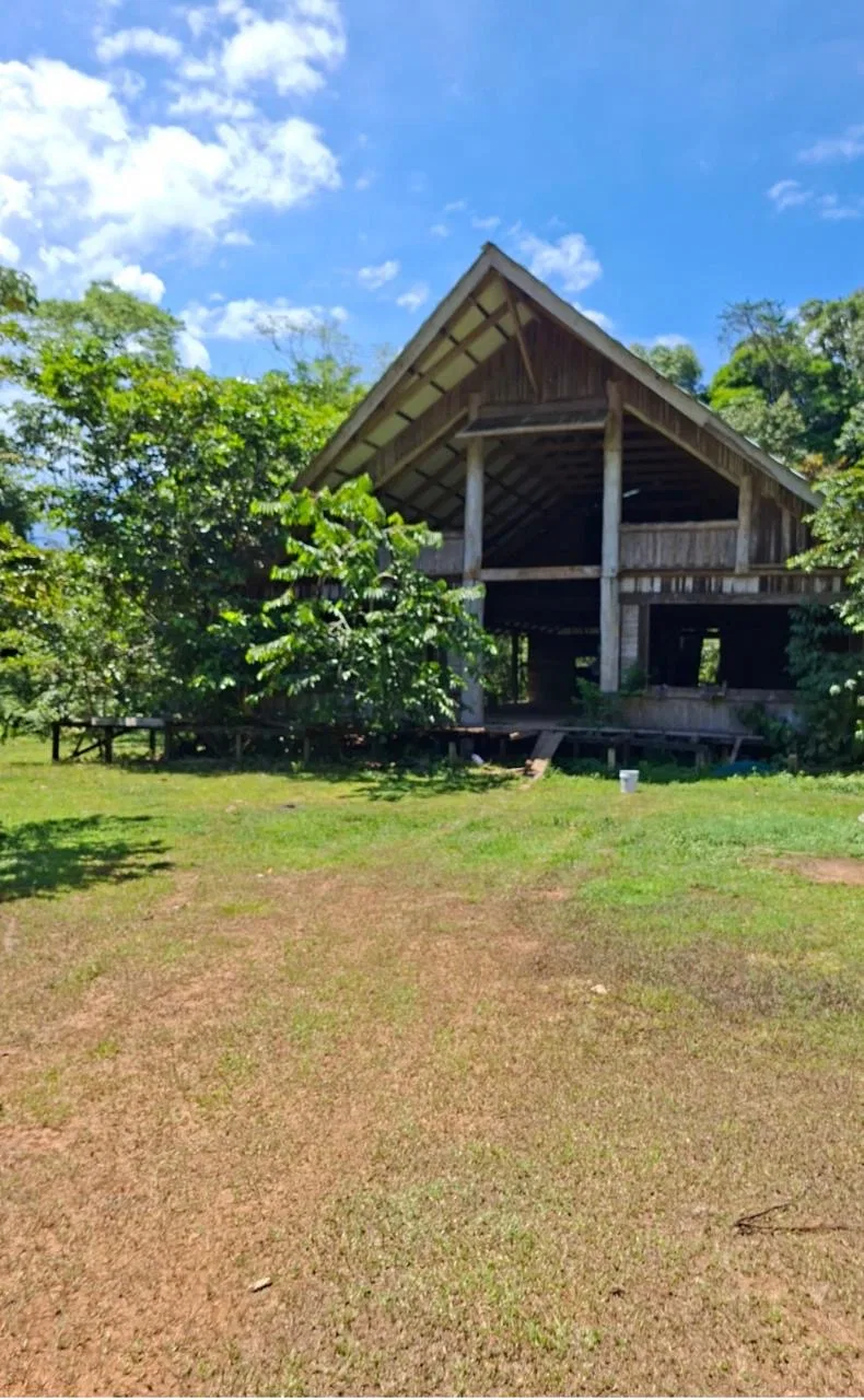 64 hectáreas con catarata y una gama de plus en Venta San Rafael de Bordón Cahuita Caribe Sur, photo 2