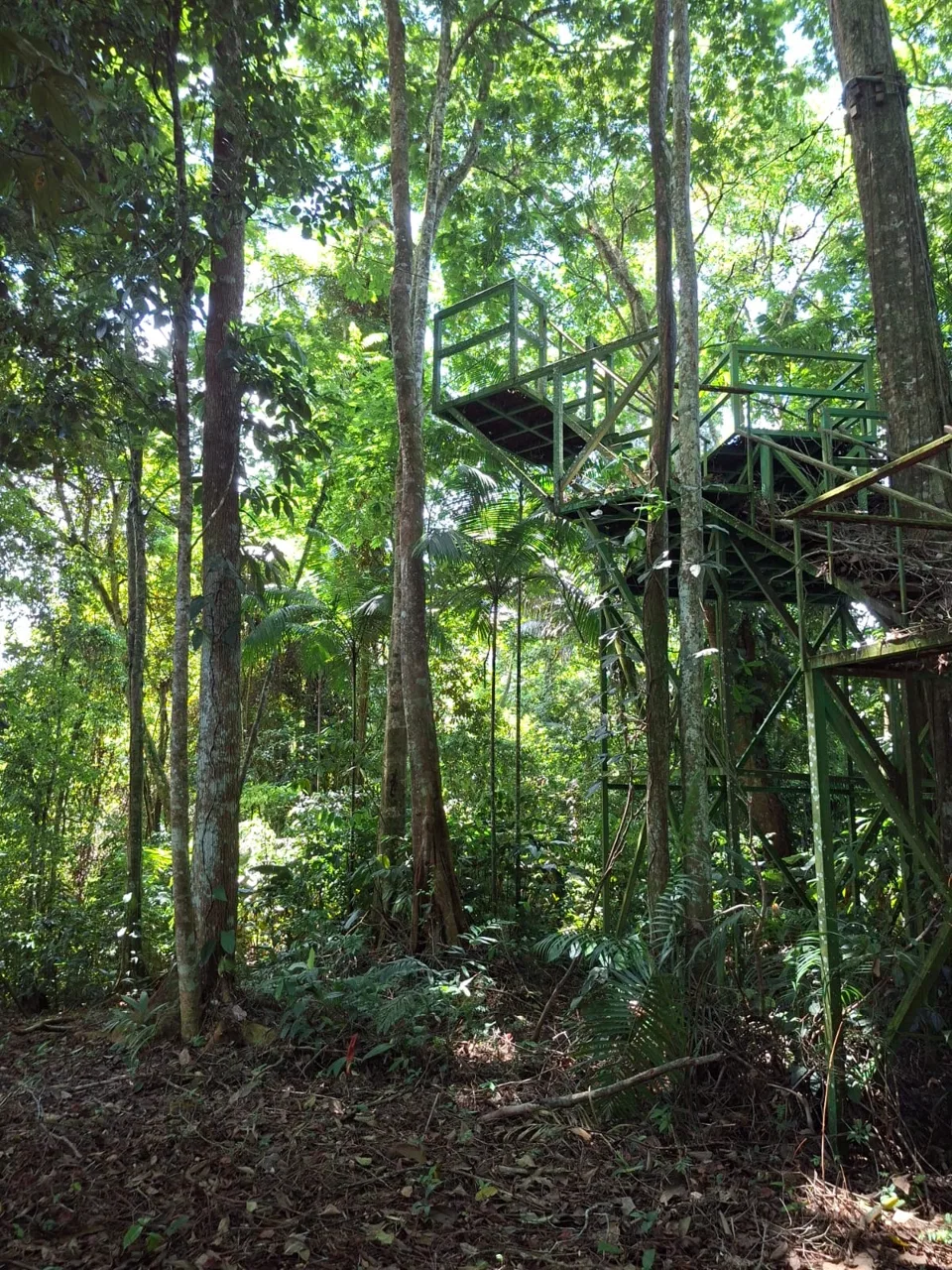 64 hectáreas con catarata y una gama de plus en Venta San Rafael de Bordón Cahuita Caribe Sur, photo 11
