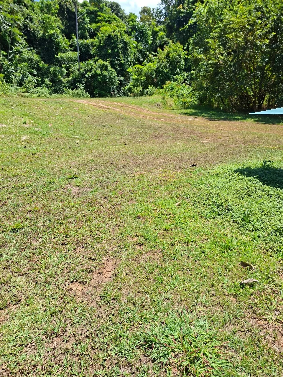 64 hectáreas con catarata y una gama de plus en Venta San Rafael de Bordón Cahuita Caribe Sur, photo 12