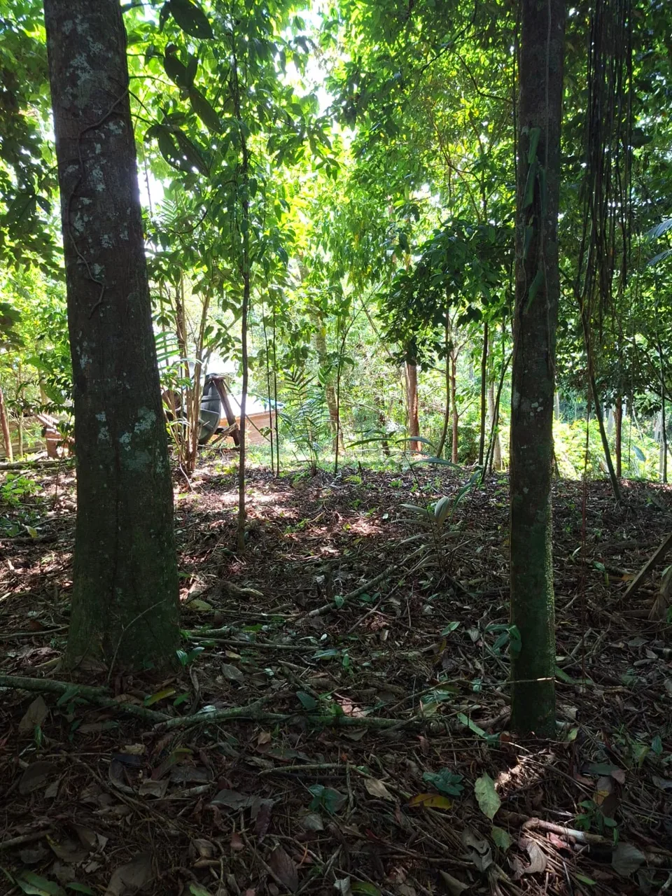 64 hectáreas con catarata y una gama de plus en Venta San Rafael de Bordón Cahuita Caribe Sur, photo 13