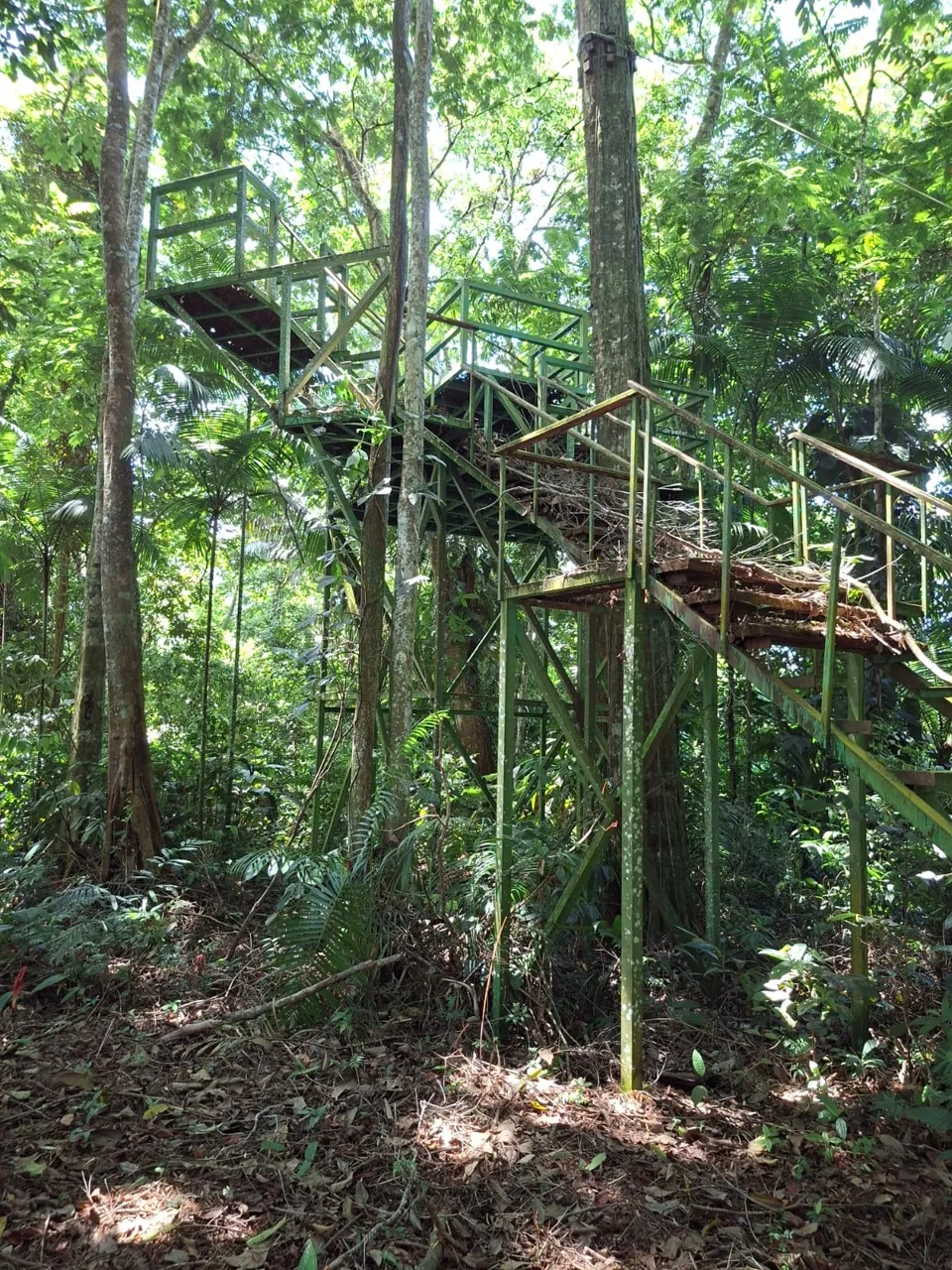 64 hectáreas con catarata y una gama de plus en Venta San Rafael de Bordón Cahuita Caribe Sur, photo 4