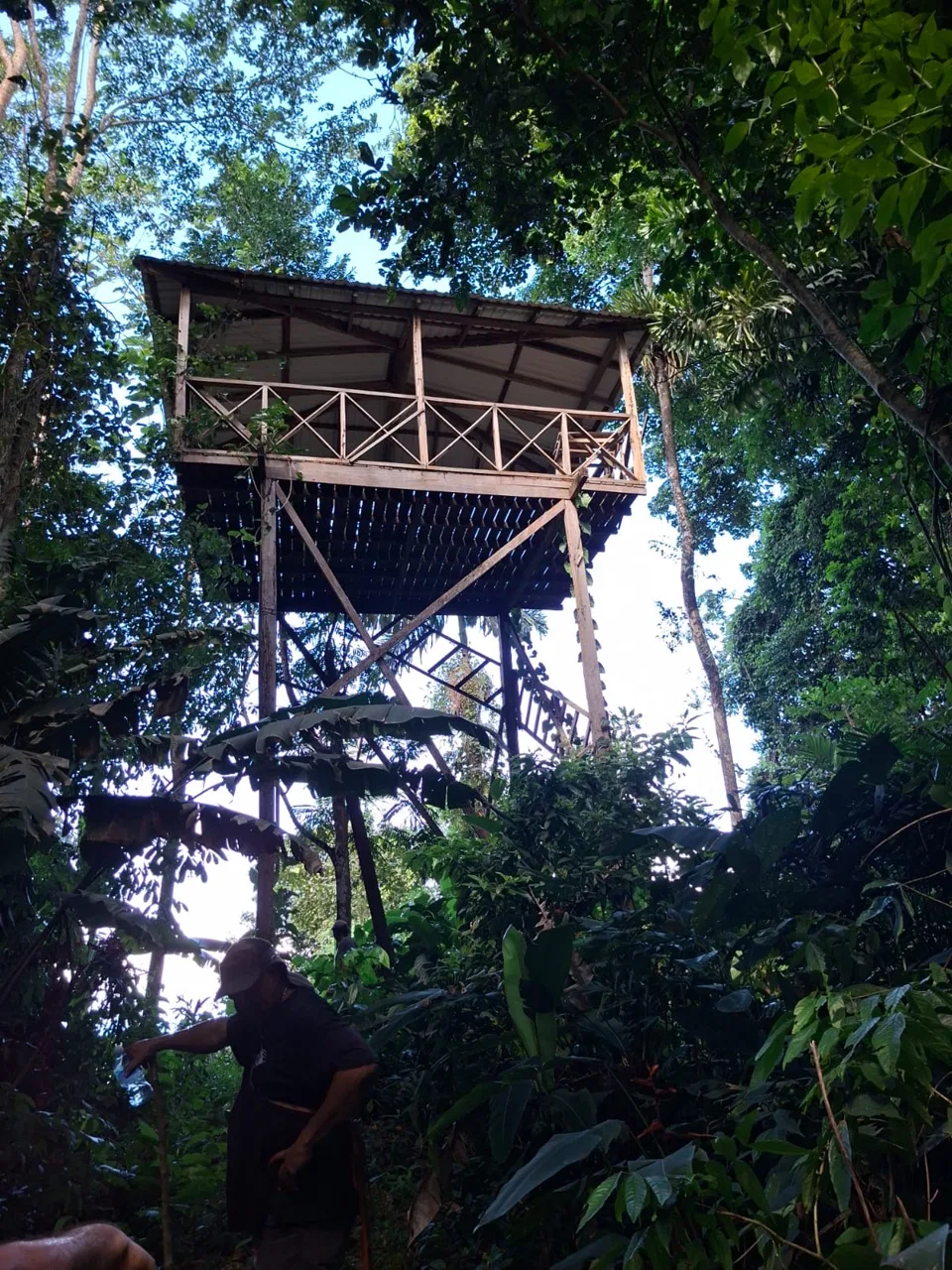 64 hectáreas con catarata y una gama de plus en Venta San Rafael de Bordón Cahuita Caribe Sur, photo 5