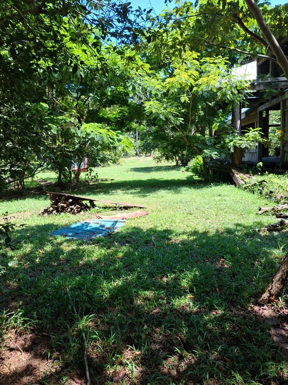 64 hectáreas con catarata y una gama de plus en Venta San Rafael de Bordón Cahuita Caribe Sur, photo 6