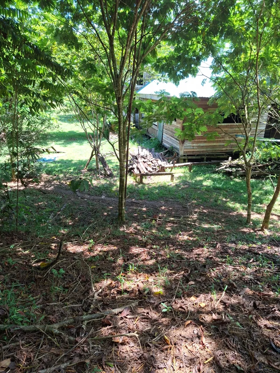 64 hectáreas con catarata y una gama de plus en Venta San Rafael de Bordón Cahuita Caribe Sur, photo 7