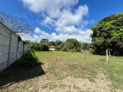 Uvita 533sqm Lot, photo 8