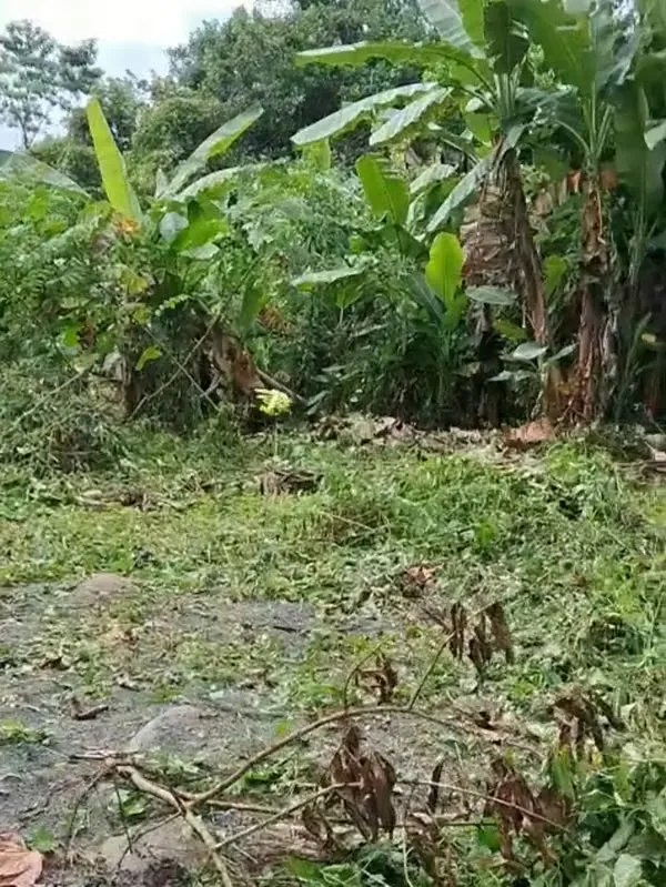 MA Asesoría vende terreno en Horquetas de Sarapiquí, Heredia.
