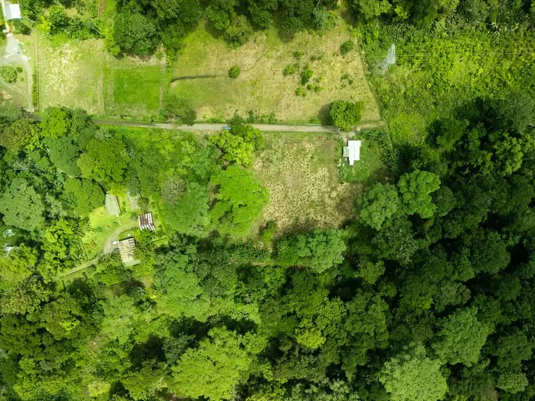 ID 1134: 3960m² Flat Development Lot Near Cahuita, Costa Rica