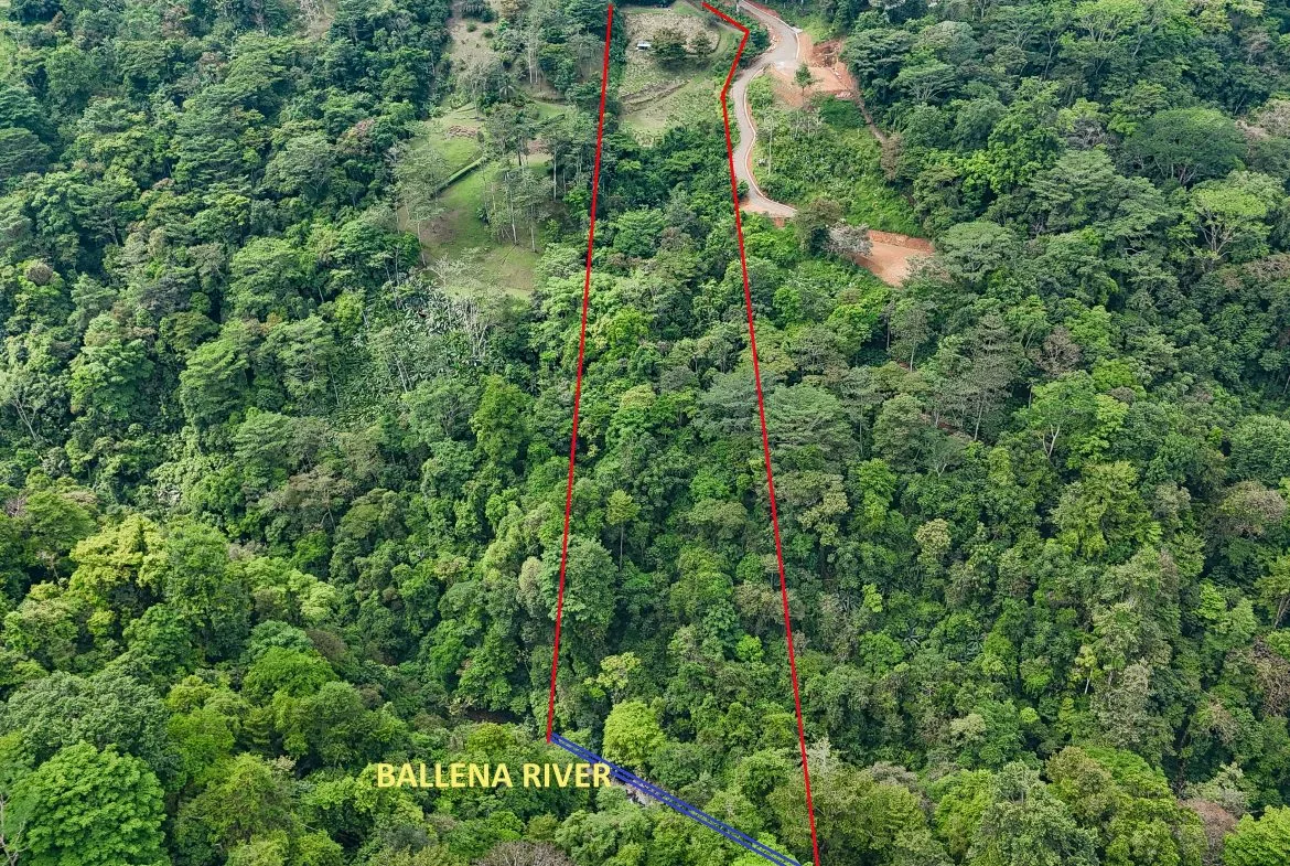 A RARE MOUNTAIN RETREAT WITH BUILDING SITES  , NICE VIEWS AND RIVER – 4.3 ACRES, photo 12
