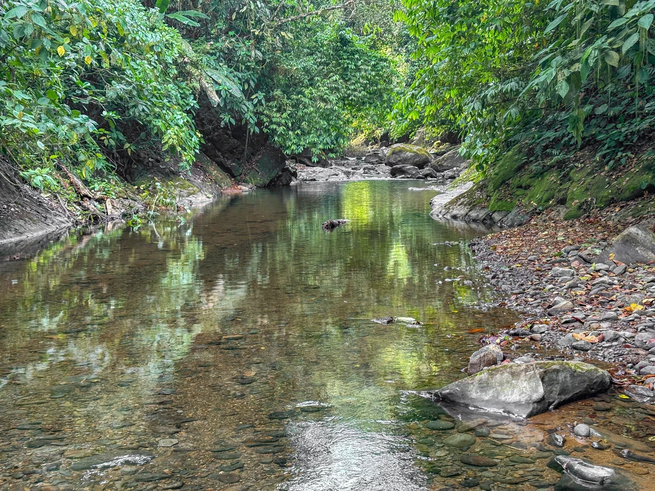 A RARE MOUNTAIN RETREAT WITH BUILDING SITES  , NICE VIEWS AND RIVER – 4.3 ACRES, photo 15