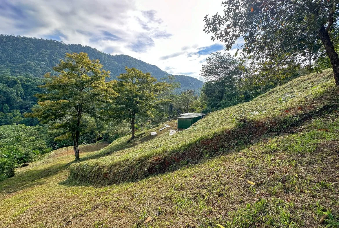 A RARE MOUNTAIN RETREAT WITH BUILDING SITES  , NICE VIEWS AND RIVER – 4.3 ACRES, photo 20
