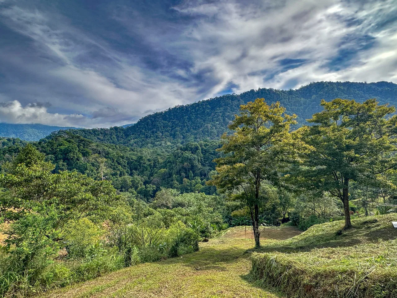 A RARE MOUNTAIN RETREAT WITH BUILDING SITES  , NICE VIEWS AND RIVER – 4.3 ACRES, photo 3