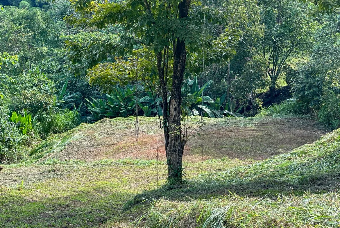 A RARE MOUNTAIN RETREAT WITH BUILDING SITES  , NICE VIEWS AND RIVER – 4.3 ACRES, photo 22