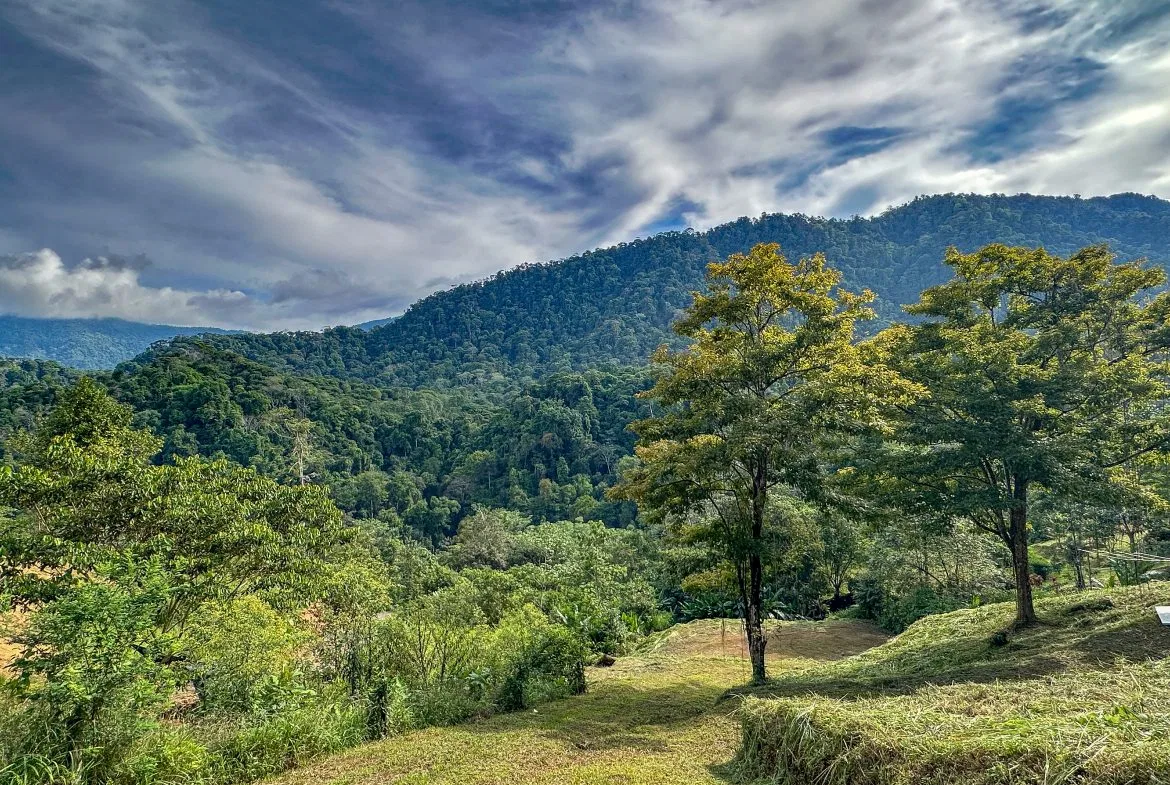 A RARE MOUNTAIN RETREAT WITH BUILDING SITES  , NICE VIEWS AND RIVER – 4.3 ACRES, photo 4