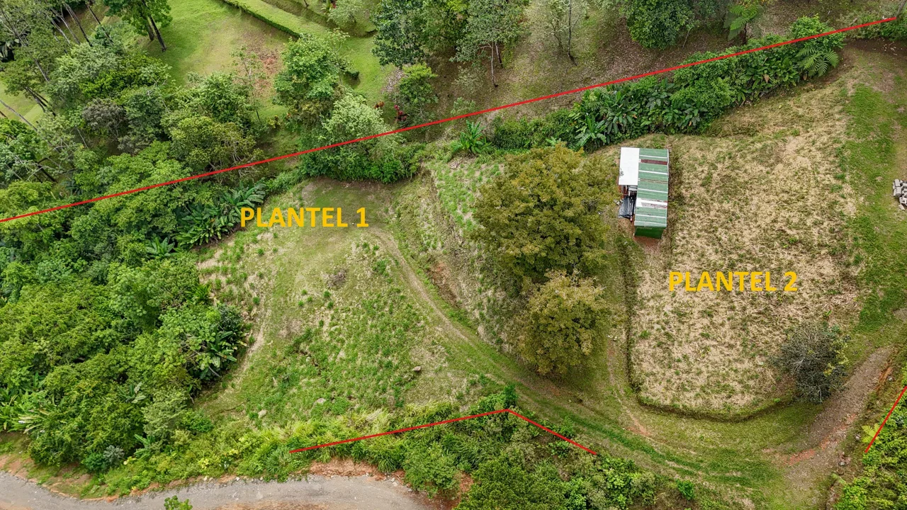 A RARE MOUNTAIN RETREAT WITH BUILDING SITES  , NICE VIEWS AND RIVER – 4.3 ACRES, photo 5