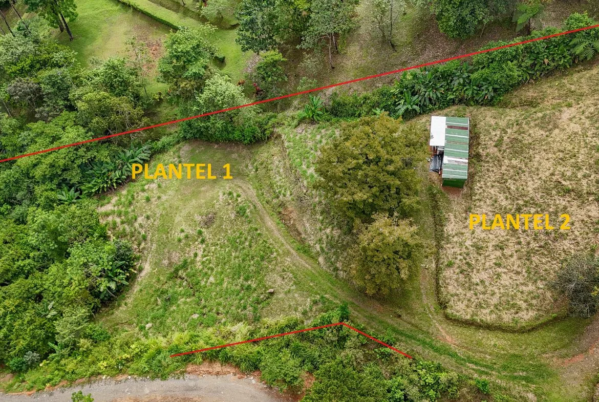 A RARE MOUNTAIN RETREAT WITH BUILDING SITES  , NICE VIEWS AND RIVER – 4.3 ACRES, photo 6