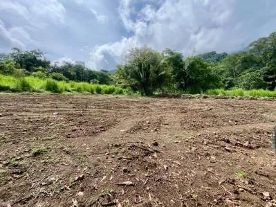 Lote privado con vista a la jungla y al monte, bordeado por un huerto - Caracara Ridge, lote 12, photo 2