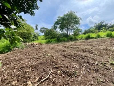 Lote privado con vista a la jungla y al monte, bordeado por un huerto - Caracara Ridge, lote 12, photo 3