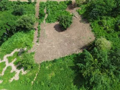 Lote privado con vista a la jungla y al monte, bordeado por un huerto - Caracara Ridge, lote 12, photo 4