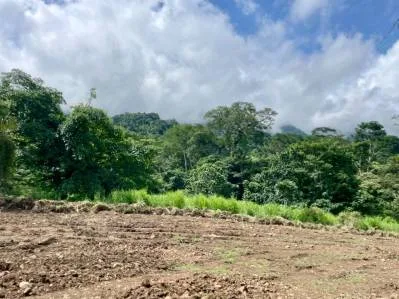 Lote privado con vista a la jungla y al monte, bordeado por un huerto - Caracara Ridge, lote 12, photo 6