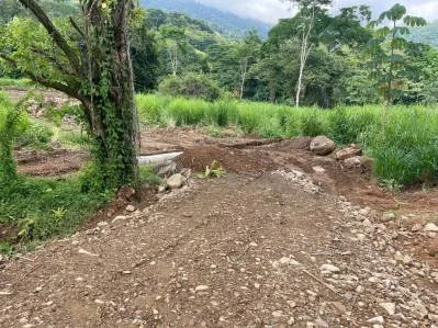Lote privado con vista a la jungla y al monte, bordeado por un huerto - Caracara Ridge, lote 12, photo 10