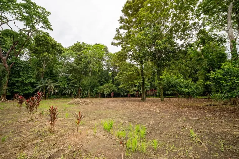 ID 1150: 3000 sqm Titled Land Near Cahuita National Park, Costa Rica