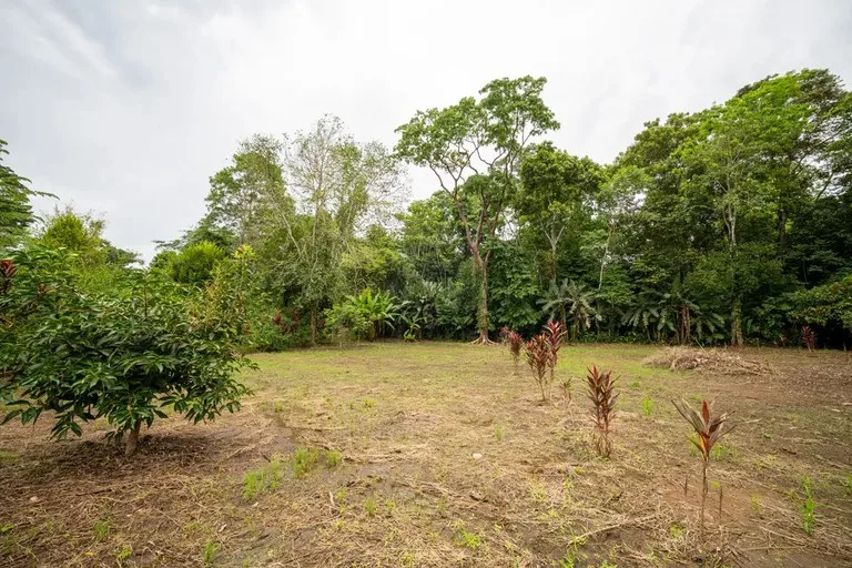 ID 1150: 3000 sqm Titled Land Near Cahuita National Park, Costa Rica, photo 2