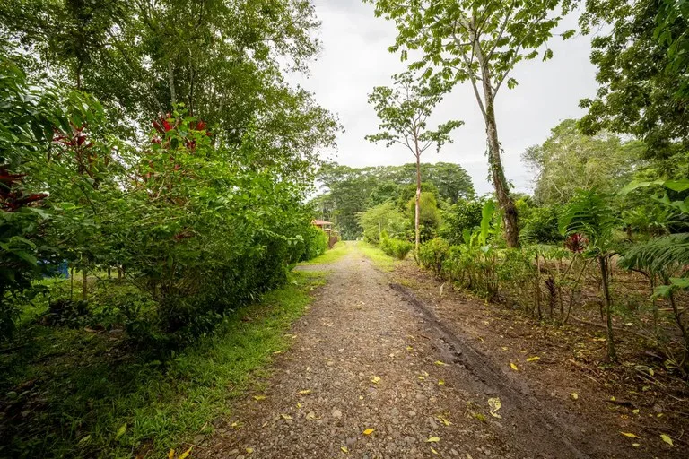 ID 1150: 3000 sqm Titled Land Near Cahuita National Park, Costa Rica, photo 11