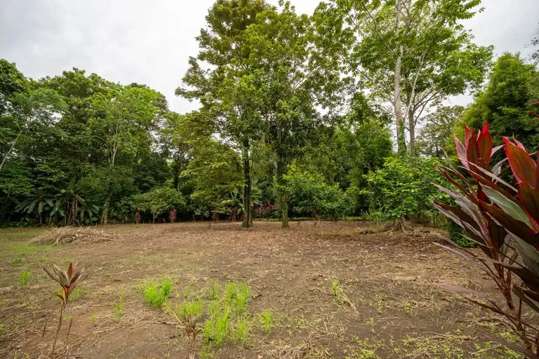 ID 1150: 3000 sqm Titled Land Near Cahuita National Park, Costa Rica, photo 3