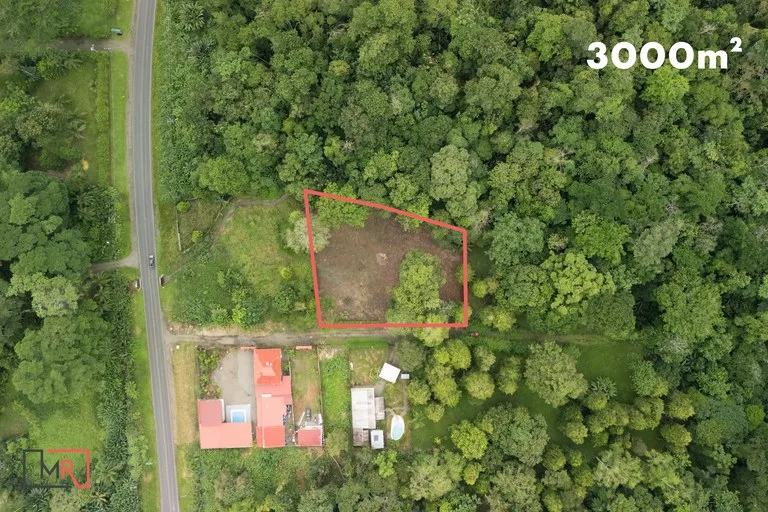 ID 1150: 3000 sqm Titled Land Near Cahuita National Park, Costa Rica, photo 4