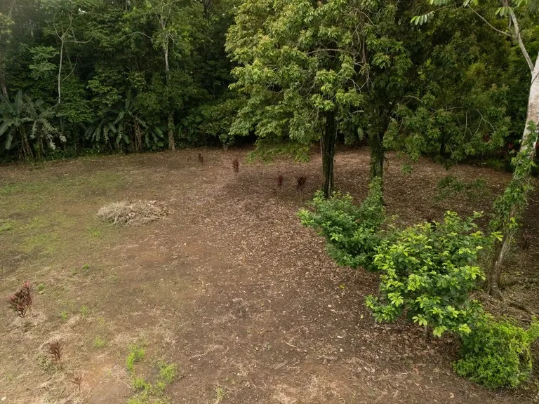 ID 1150: 3000 sqm Titled Land Near Cahuita National Park, Costa Rica, photo 5