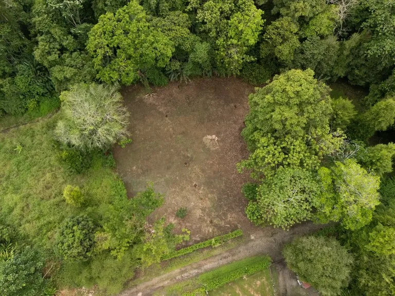 ID 1150: 3000 sqm Titled Land Near Cahuita National Park, Costa Rica, photo 6