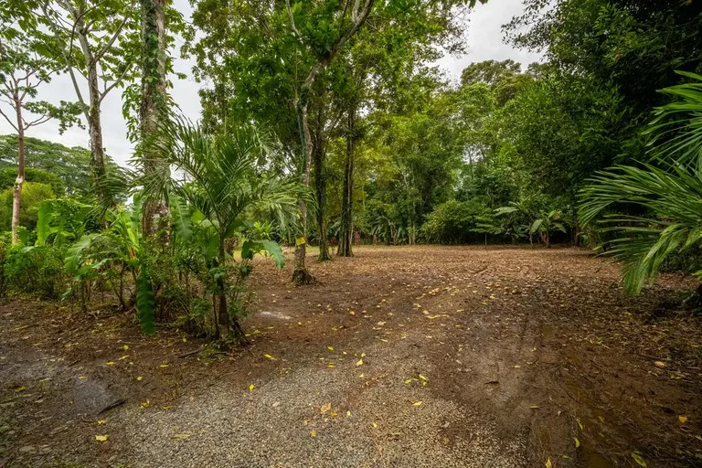 ID 1150: 3000 sqm Titled Land Near Cahuita National Park, Costa Rica, photo 7