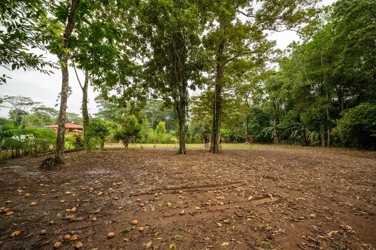 ID 1150: 3000 sqm Titled Land Near Cahuita National Park, Costa Rica, photo 8