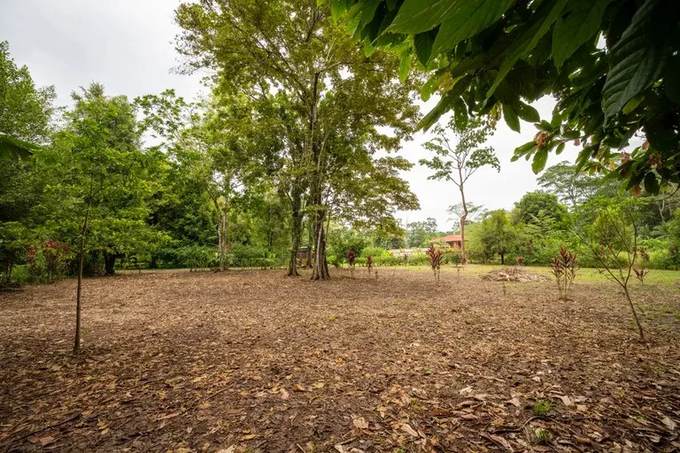 ID 1150: 3000 sqm Titled Land Near Cahuita National Park, Costa Rica, photo 9