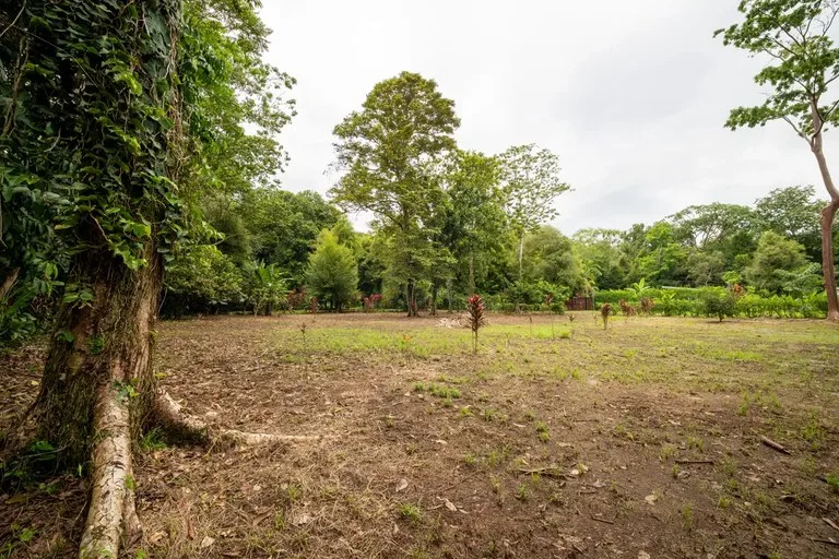 ID 1150: 3000 sqm Titled Land Near Cahuita National Park, Costa Rica, photo 10