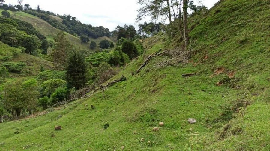 Venta de Lote en Tibás, San José. - Venta en Tibás, photo 9