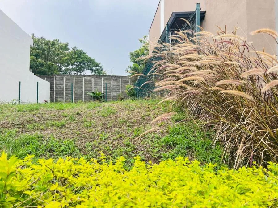Venta de Propiedad para desarrollo comercial y habitacional en San Pedro Montes de Oca US$3,875,000  - Venta en Montes de Oca, photo 13